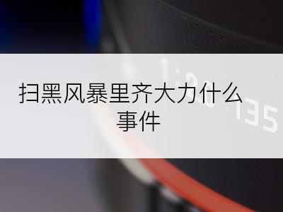 扫黑风暴里齐大力什么事件