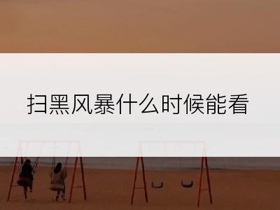 扫黑风暴什么时候能看