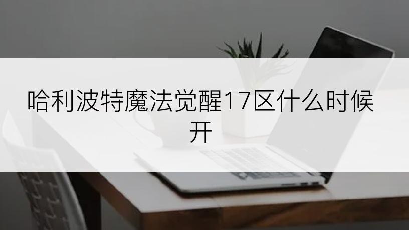 哈利波特魔法觉醒17区什么时候开