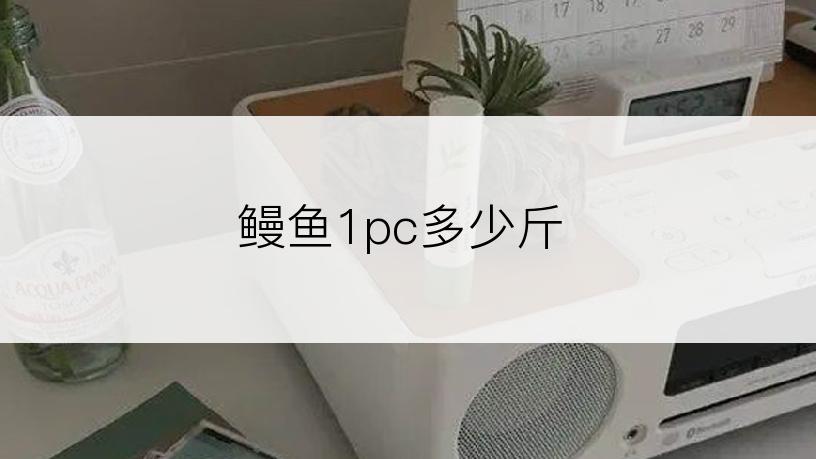 鳗鱼1pc多少斤