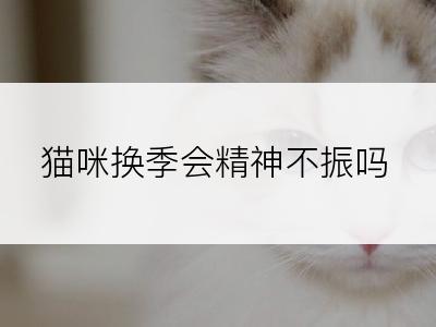 猫咪换季会精神不振吗