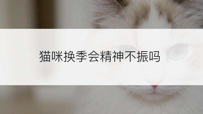 猫咪换季会精神不振吗