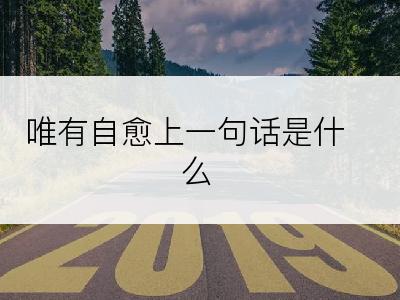 唯有自愈上一句话是什么