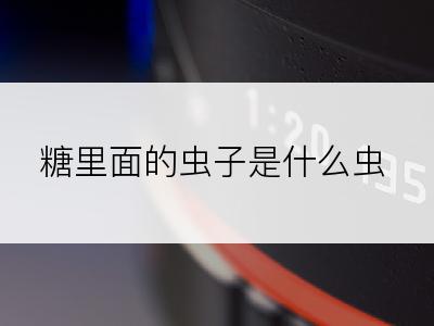 糖里面的虫子是什么虫