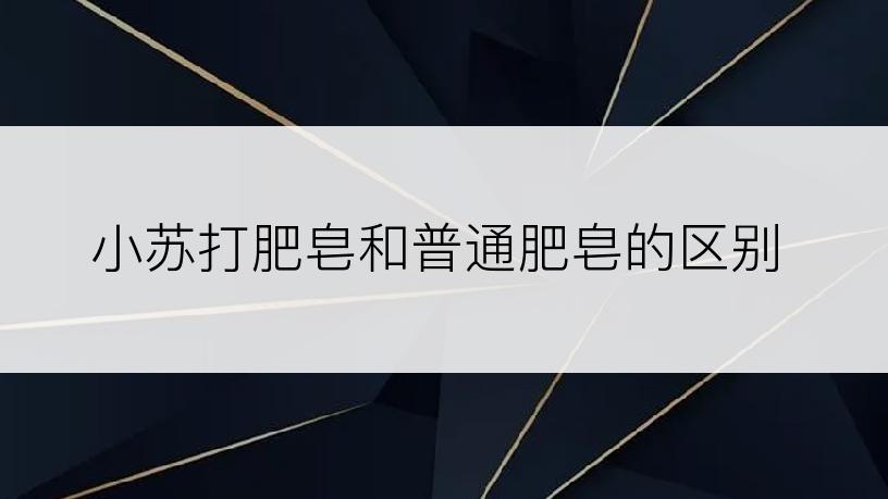 小苏打肥皂和普通肥皂的区别