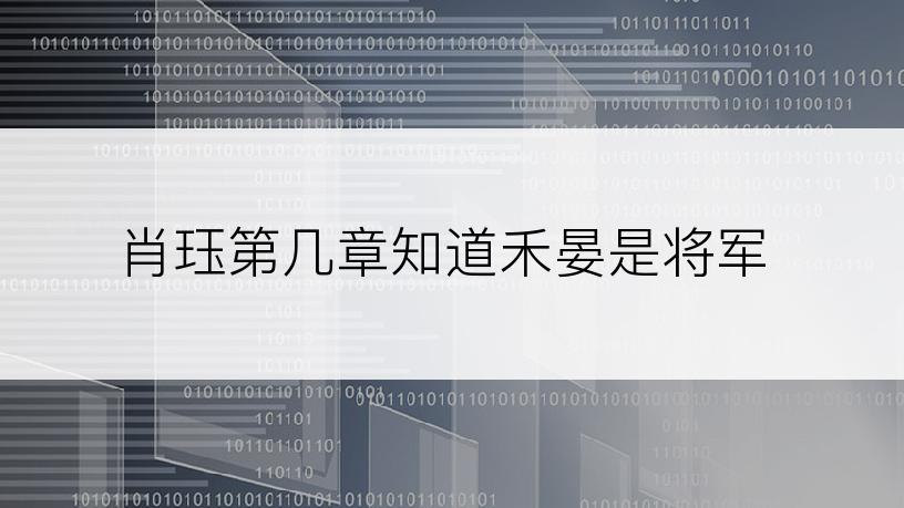 肖珏第几章知道禾晏是将军