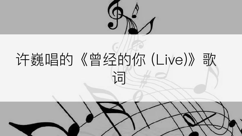 许巍唱的《曾经的你 (Live)》歌词