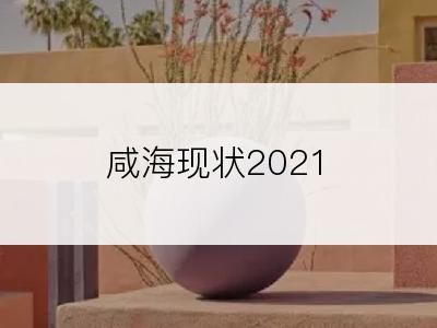 咸海现状2021