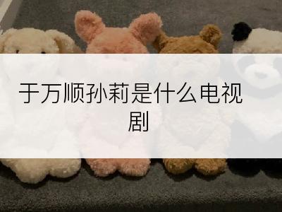 于万顺孙莉是什么电视剧