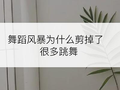 舞蹈风暴为什么剪掉了很多跳舞