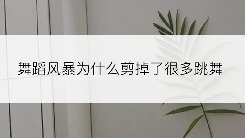 舞蹈风暴为什么剪掉了很多跳舞