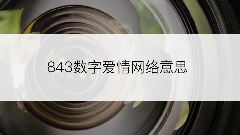 843数字爱情网络意思