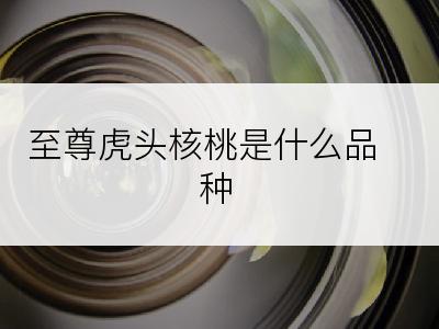 至尊虎头核桃是什么品种