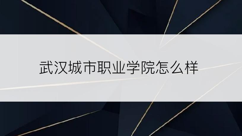 武汉城市职业学院怎么样