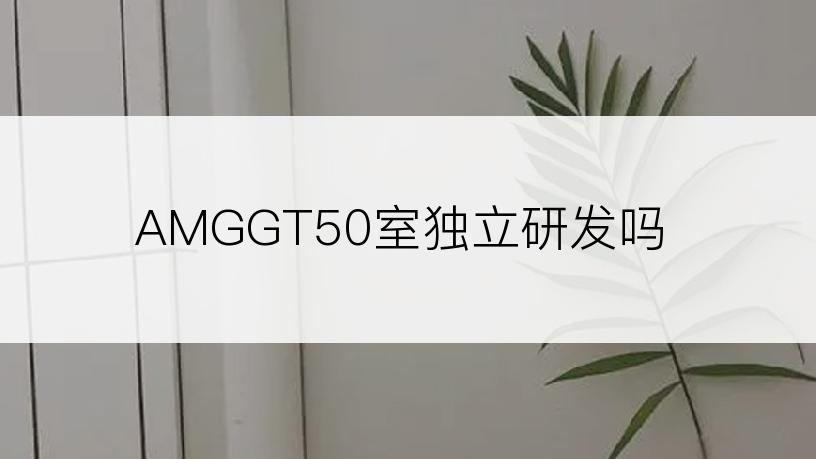 AMGGT50室独立研发吗