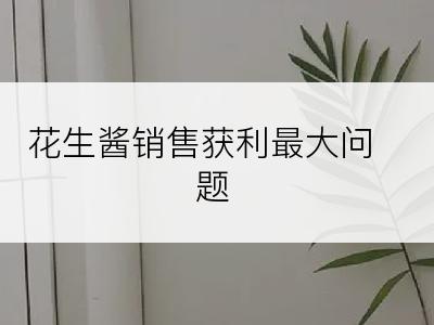 花生酱销售获利最大问题