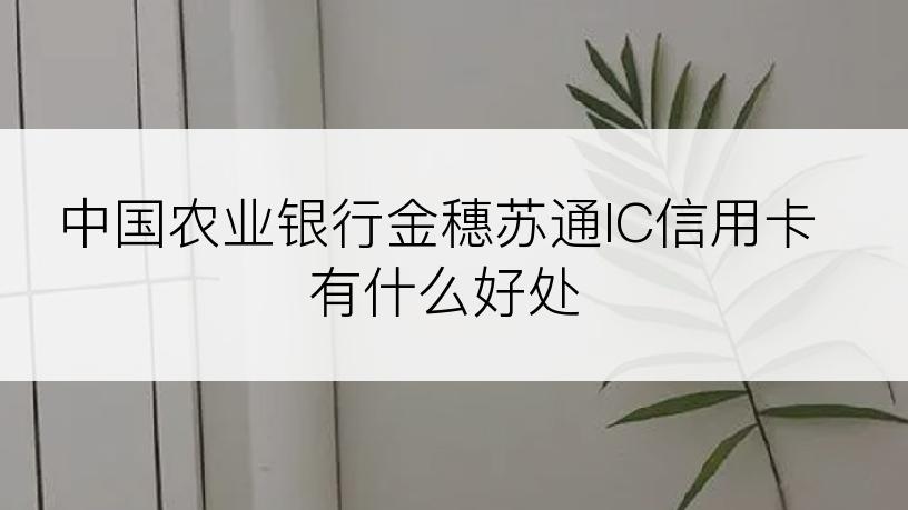 中国农业银行金穗苏通IC信用卡有什么好处