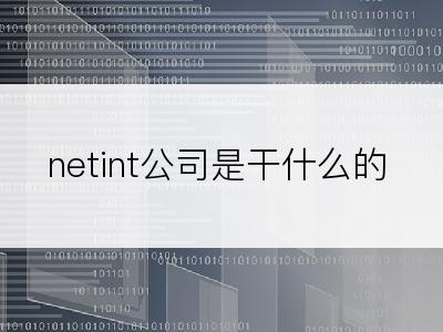 netint公司是干什么的