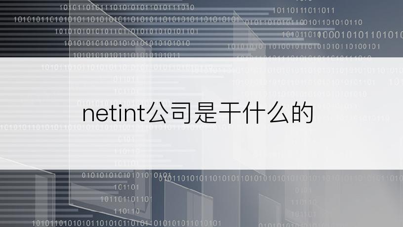 netint公司是干什么的