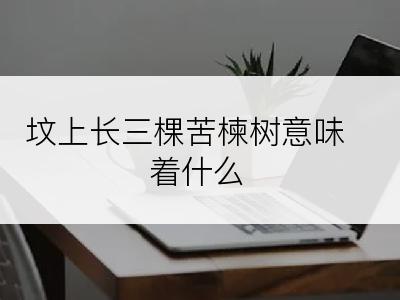 坟上长三棵苦楝树意味着什么