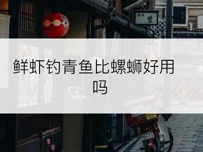 鲜虾钓青鱼比螺蛳好用吗