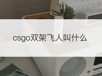 csgo双架飞人叫什么