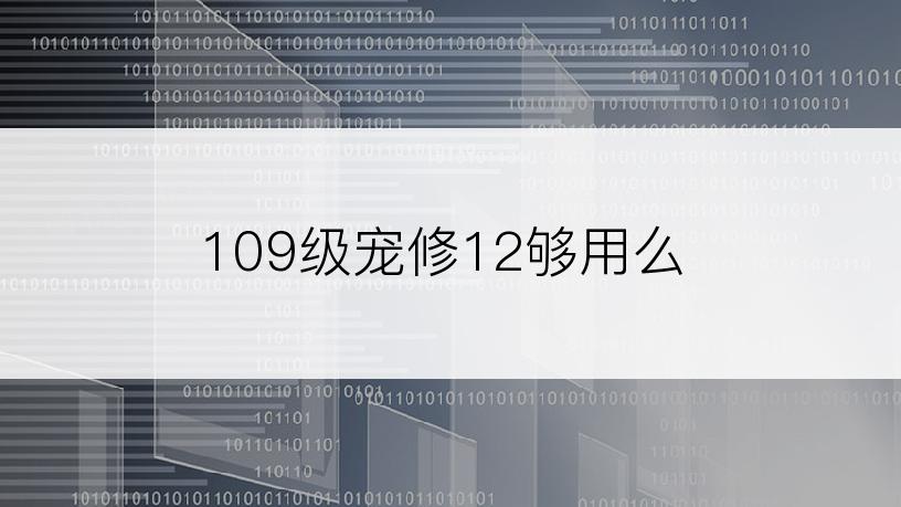 109级宠修12够用么