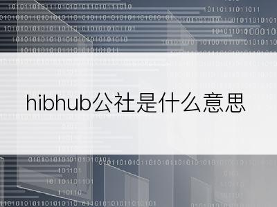 hibhub公社是什么意思