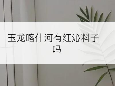 玉龙喀什河有红沁料子吗