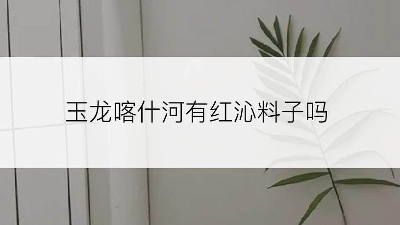 玉龙喀什河有红沁料子吗