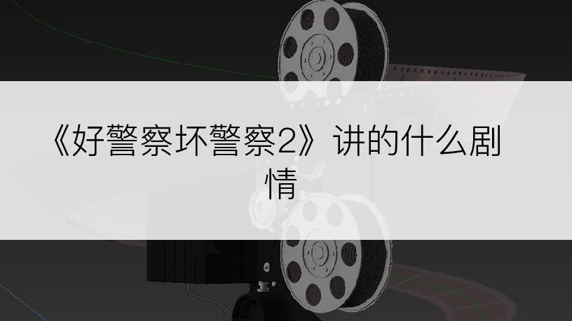 《好警察坏警察2》讲的什么剧情