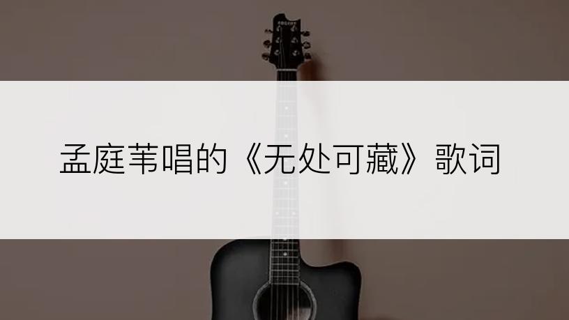 孟庭苇唱的《无处可藏》歌词