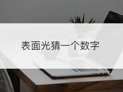 表面光猜一个数字