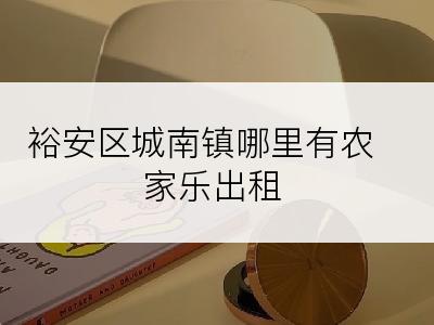 裕安区城南镇哪里有农家乐出租