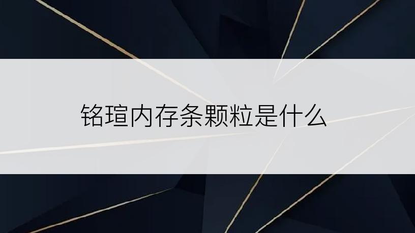 铭瑄内存条颗粒是什么