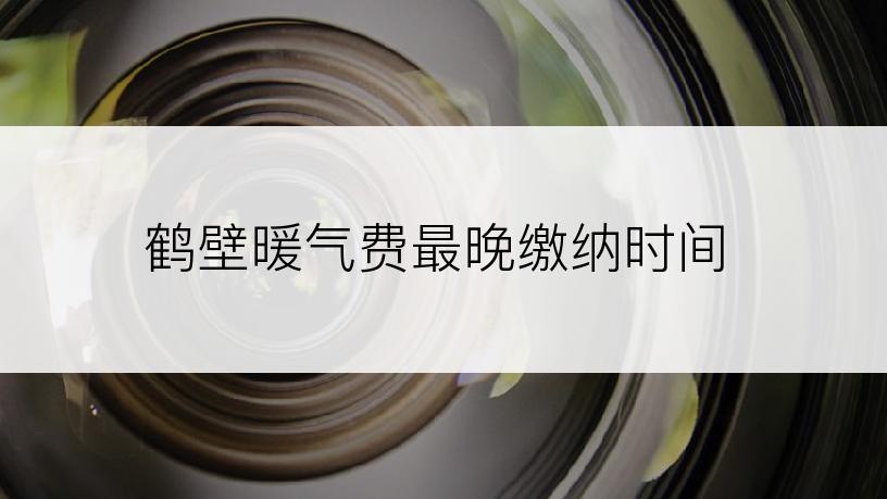 鹤壁暖气费最晚缴纳时间