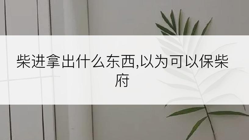 柴进拿出什么东西,以为可以保柴府