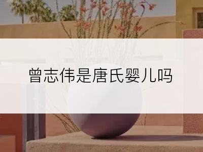 曾志伟是唐氏婴儿吗