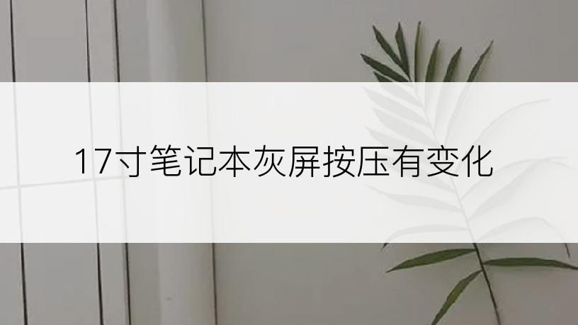 17寸笔记本灰屏按压有变化