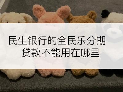 民生银行的全民乐分期贷款不能用在哪里