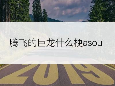 腾飞的巨龙什么梗asoul