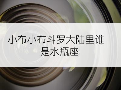 小布小布斗罗大陆里谁是水瓶座