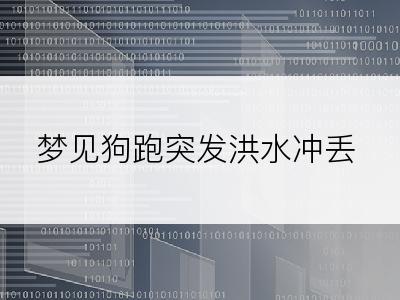 梦见狗跑突发洪水冲丢