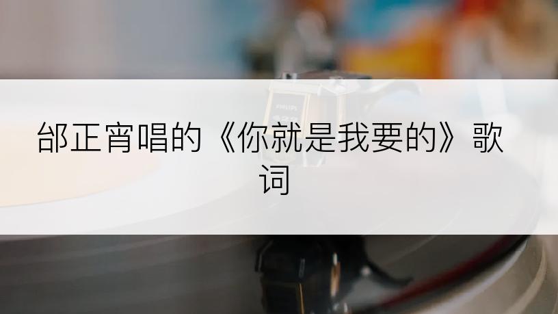 邰正宵唱的《你就是我要的》歌词