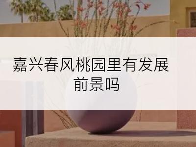 嘉兴春风桃园里有发展前景吗