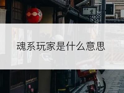 魂系玩家是什么意思