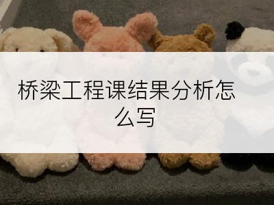 桥梁工程课结果分析怎么写