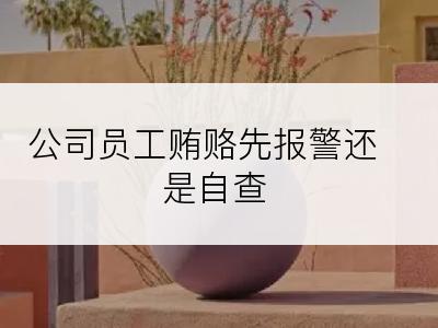 公司员工贿赂先报警还是自查