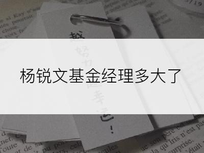 杨锐文基金经理多大了