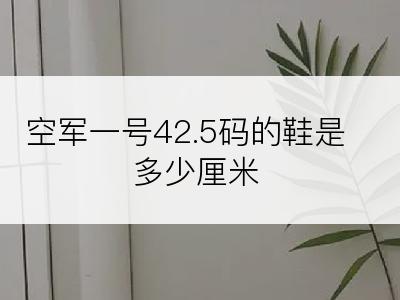 空军一号42.5码的鞋是多少厘米